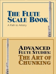 2 book bundle ScaleChunk